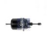 DT 3.74006 Spring-loaded Cylinder